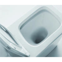 YS22251P Vaso sanitário de cerâmica sem aro de 2 peças, vaso sanitário P-trap;
